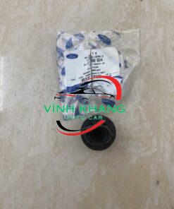 CAO SU GIẢM CHẤN CAPO FORD ECOSPORT 2018