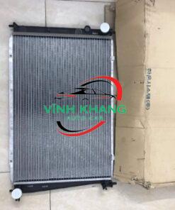 253104A110 - KÉT NƯỚC HYUNDAI LIBERO 2000-2007