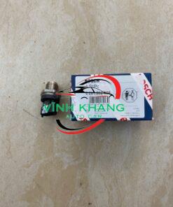 0281002908 | CẢM BIẾN THANH RAIL NHIÊN LIỆU HYUNDAI PORTER 2