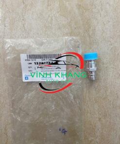 13277003 | VAN NẠP GA CHEVROELT ORLANDO 2011-2015
