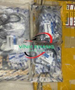 GIOĂNG ĐẠI TU HYUNDAI SANTAFE