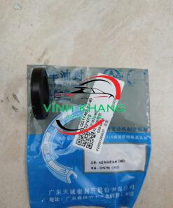 PHỚT ĐẦU TRỤC CAM XE SRM X30 | QQYF462 PHỚT ĐẦU TRỤC CAM XE SRM X30 | QQYF462