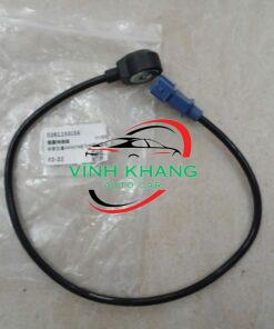 CẢM BIẾN TIẾNG GÕ XE SYM T880 2009-2013 | 0261230036